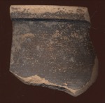 V22q1816 A16q0852-p04 O910 mN -RC f190.jpg